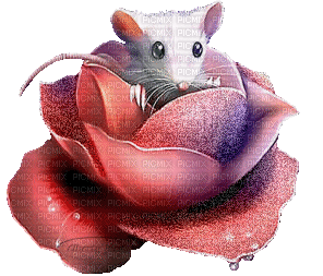 Mouse in Rose - Besplatni animirani GIF