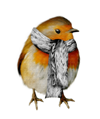 loly33 oiseaux hiver - gratis png
