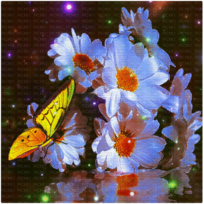 background hintergrund fondo flowers milla1959 - Ilmainen animoitu GIF