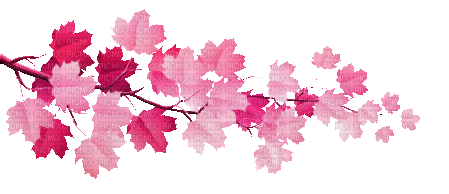 soave deco autumn animated leaves branch pink - Бесплатни анимирани ГИФ