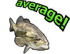 average! - Free animated GIF