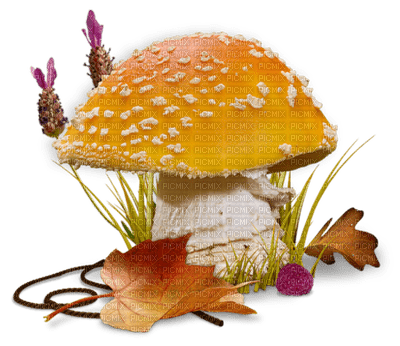 Kaz_Creations Deco Mushroom Toadstool Autumn - Free PNG