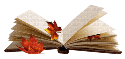 Kaz_Creations Books Book - png gratuito