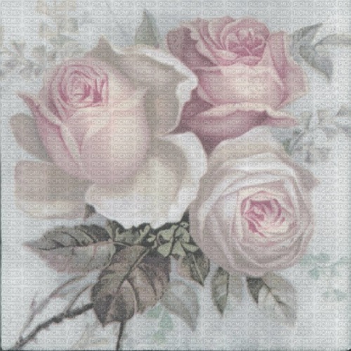 Background Vintage Roses - PNG gratuit