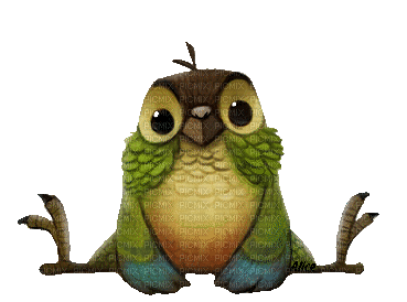 owl bp - Ingyenes animált GIF