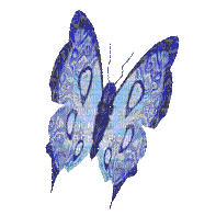 Бабочка! - Безплатен анимиран GIF