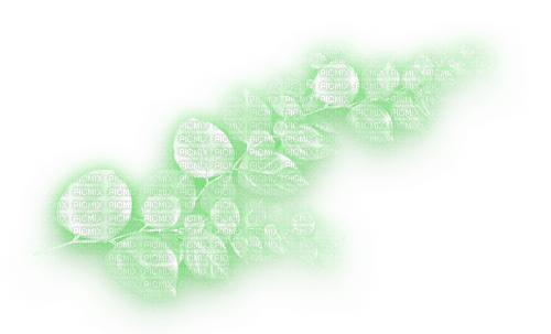 deko blatt grün green - kostenlos png