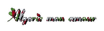 algerie mon amour - Free animated GIF