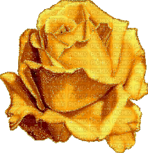 róża - Bezmaksas animēts GIF