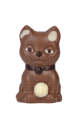 Chocolat chat - ücretsiz png