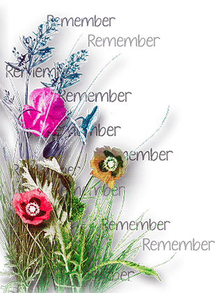 soave deco flowers poppy corner branch text - Free PNG
