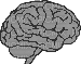 Cerveau - Безплатен анимиран GIF