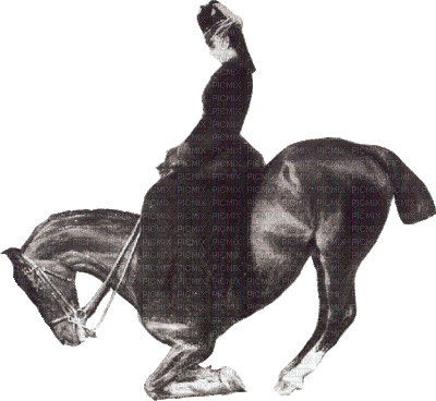 équitation - Безплатен анимиран GIF