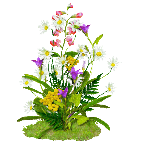 Animated.Flowers.White.Purple - By KittyKatLuv65 - GIF animé gratuit