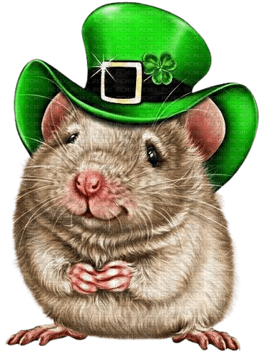 St-Patrick mouse - darmowe png