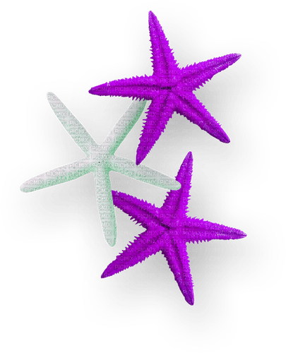 Starfish.Purple.White - PNG gratuit