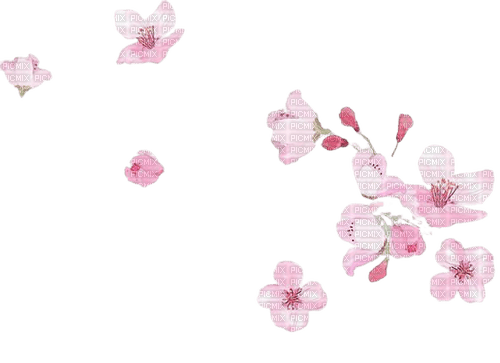 spring flowers - 無料png