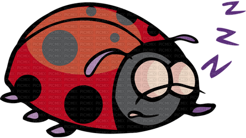 ladybug - δωρεάν png