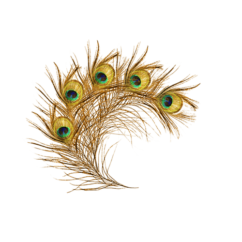 Peacock Feather - 免费PNG