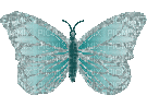 Papillon ** - GIF เคลื่อนไหวฟรี