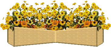 Blumenkasten - Ingyenes animált GIF