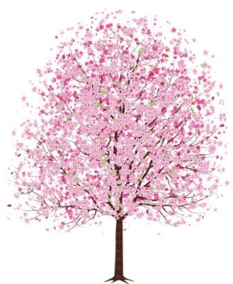 cherry tree - zadarmo png