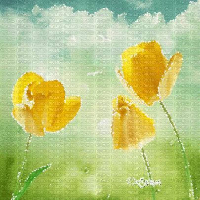 soave background animated flowers spring  tulips - GIF animado grátis