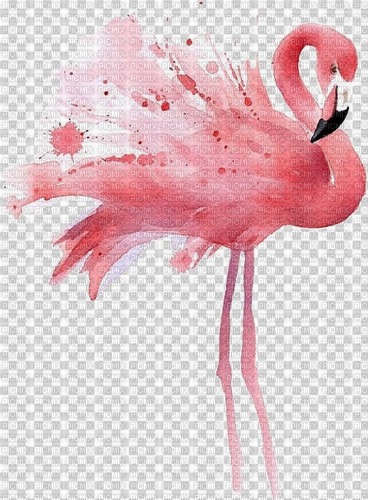 Pink Flamingo - Free PNG