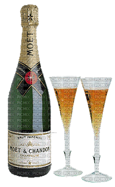 ani-champagne-flaska-glas - Zdarma animovaný GIF