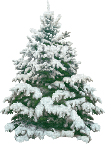 Christmas Tree  Green  Winter Gif  - Bogusia - GIF animé gratuit