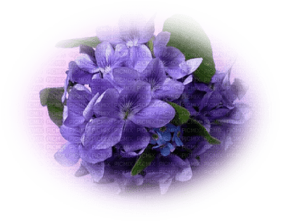 flower-lila - PNG gratuit