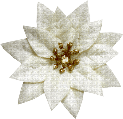 Kaz_Creations Deco Flower Christmas Noel - Free PNG