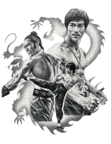 Bruce Lee,Dragon - Free PNG