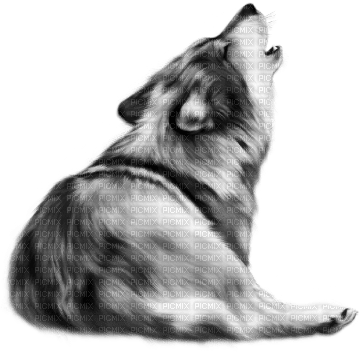 soave animals deco wolf black white - 免费PNG