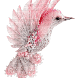 fågel-rosa - gratis png