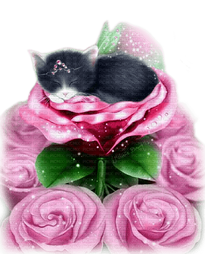 Kitten.Fairy.Roses.Fantasy.Pink - KittyKatLuv65 - nemokama png