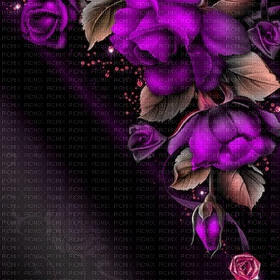 bg-purple-roses - 無料png