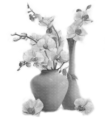 FLORES - 無料png