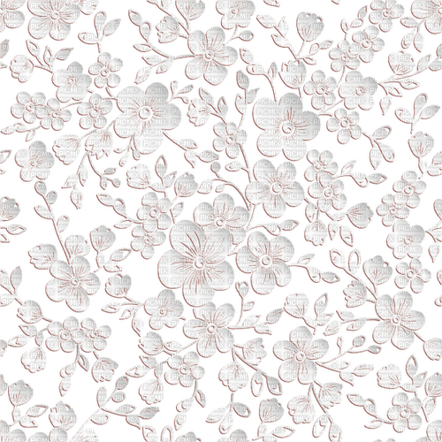 White lace - 免费PNG