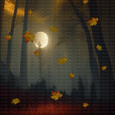 Autumn Forest at Night - Free animated GIF