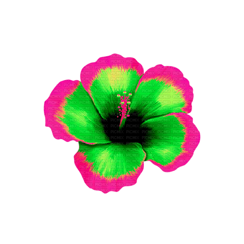 Tropical.Flower.Green.Pink - ilmainen png