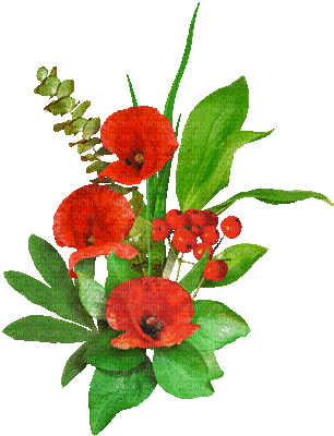 soave deco flowers branch animated poppy red - Gratis animeret GIF