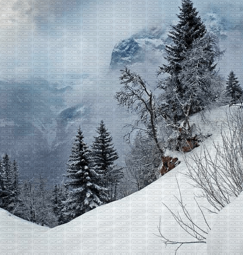 Rena Winter Forest Wald Background Hintergrund - bezmaksas png