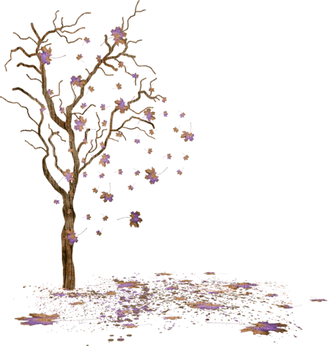 loly33 arbre automne - PNG gratuit