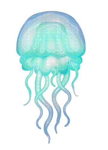 jellyfish Bb2 - Free PNG