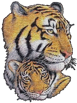 aze tigre - Bezmaksas animēts GIF