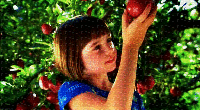 child fruit bp - Besplatni animirani GIF