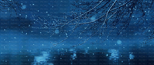 winter night snow - Бесплатный анимированный гифка