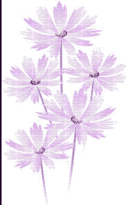 Pink Flowers - Безплатен анимиран GIF
