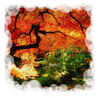 Kaz_Creations Autumn Paysage Scenery - PNG gratuit